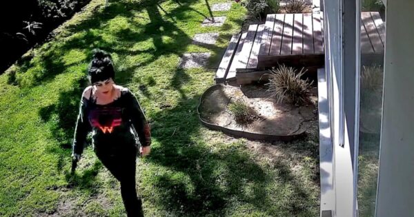 Shooting Incident Involving Author Jillian Lauren Raises Questions Over Self-Defense
