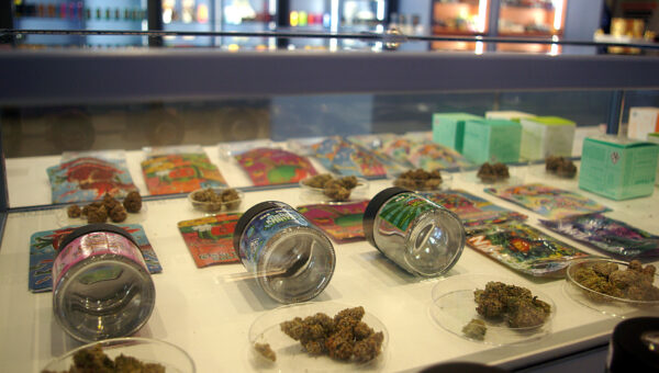 Cannabis Entrepreneurs in Los Angeles Struggle Amid Rising Fees and Bureaucracy