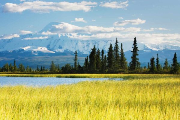Exploring the Wonders of Wrangell-St. Elias National Park and Preserve