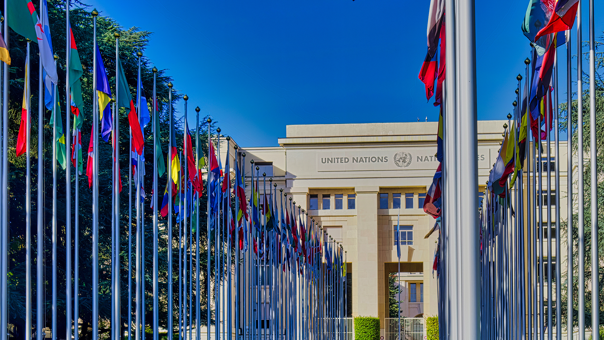 Impact of U.S. Foreign Aid Cuts on Global Humanitarian Efforts