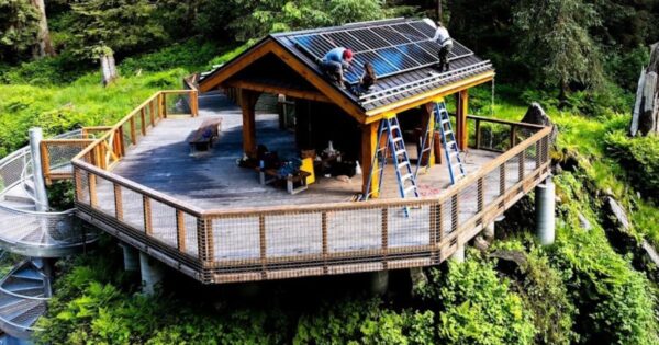 Anan Creek Expands Wildlife Viewing with New Citizen Science Initiative