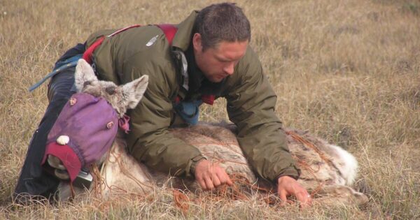 Concerns Rise Over Funding Cuts to Alaska’s Cooperative Fish and Wildlife Research Unit