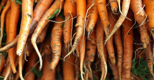 Spring Farmers Markets in Chicago: A Culinary Seasonal Journey