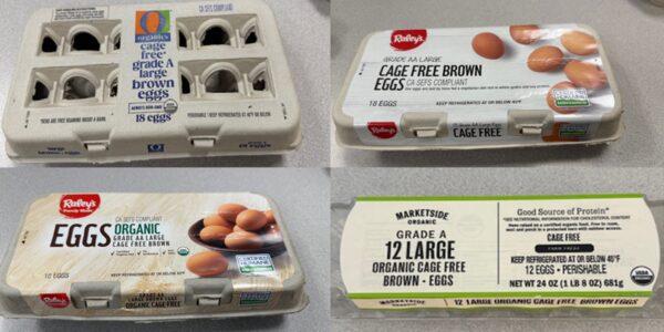 Multistate Salmonella Enteritidis Outbreak Linked to August Egg Company Eggs