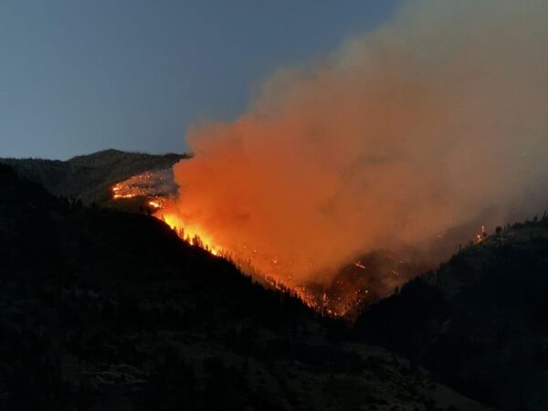 Preparing for Wildfire Season in Washington: A Five-Step Guide to Stay Safe
