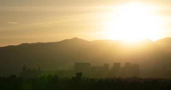 Efforts to Combat Urban Heat in Las Vegas Through Tree Planting Initiatives