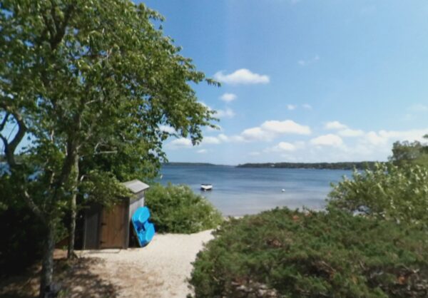 Nine Beaches in Massachusetts Closed for Swimming Due to High Bacterial Levels
