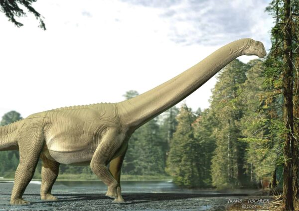 Discovery of Fossilized Gut Contents Sheds Light on Sauropod Diet
