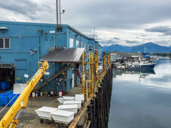 Commerce Secretary Howard Lutnick Engages with Alaska’s Seafood Industry Amid Trade Threats