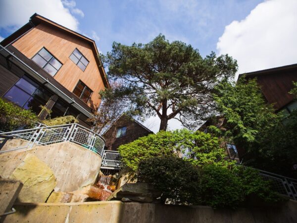Balancing Housing Growth and Tree Preservation in Seattle Amid Climate Change