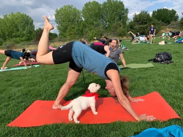 Upcoming Events: Puppy Yoga, Juneteenth Music Festival, Telluride Bluegrass Festival, and 1940s Ball