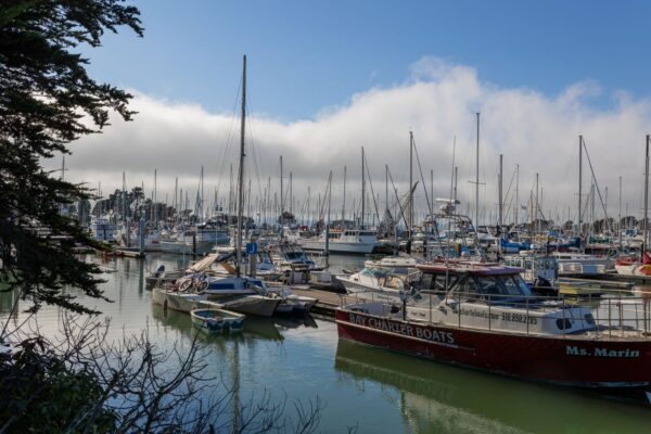Berkeley Proposes Parking Fees at Marina to Address Budget Deficit