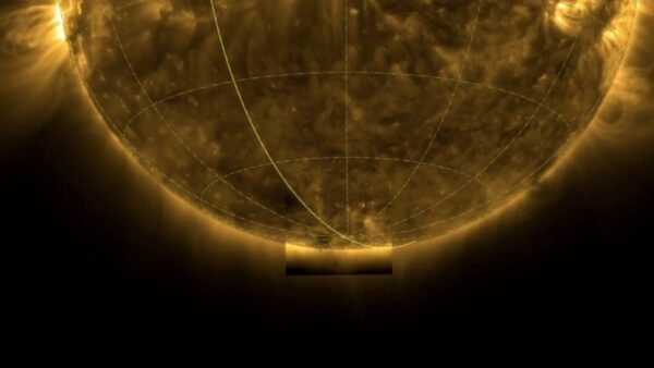 Solar Orbiter Reveals Stunning Insights into Solar Cycle and Magnetic Field Dynamics