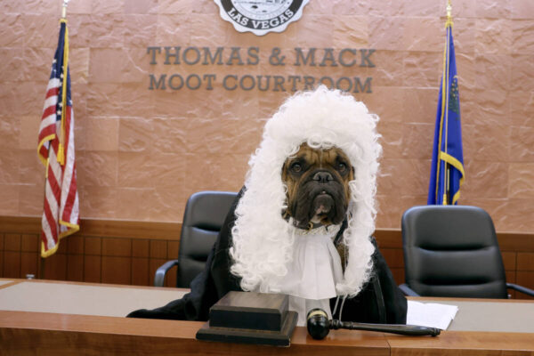 Dogs Earn Courtroom Certification at UNLV Event to Support Child Victims
