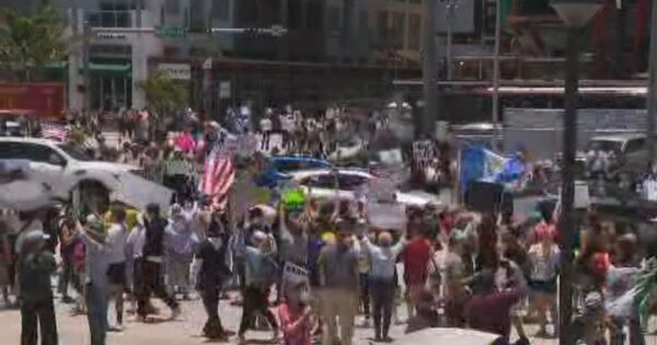 No Kings Protest in Downtown Miami Amid President Trump’s Military Parade