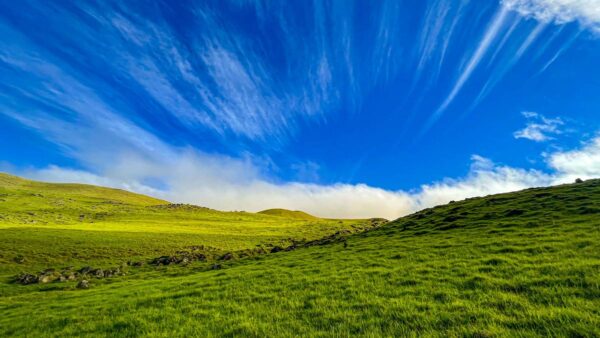 Weather Forecast for Hilo, Kona, Waimea, and Surrounding Areas
