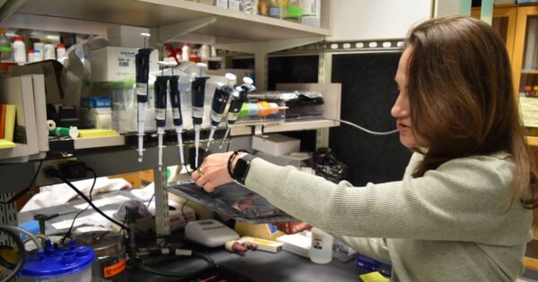 Massachusetts Research Faces Severe Funding Cuts Amid Trump Administration Actions