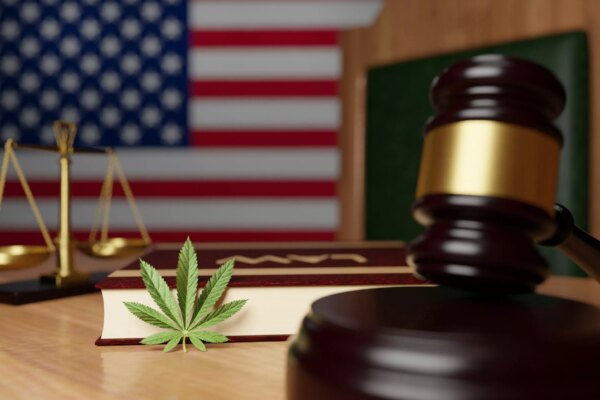 Washington D.C. Authorities Intensify Crackdown on Unlicensed Cannabis Businesses