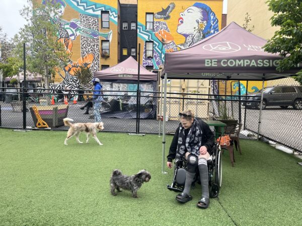 Tenderloin Residents Hope for Success of New Urban Oasis Model