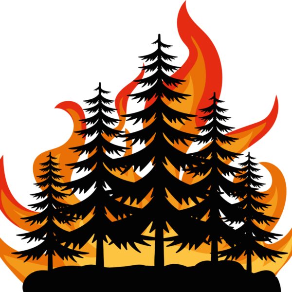 Los Angeles County Wildfires Cause Devastation and Displacement