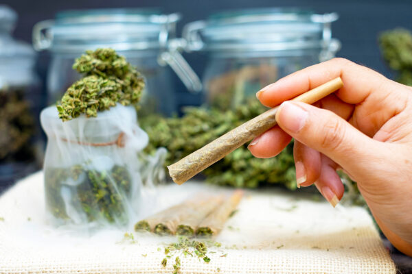 New Study Reveals Alarming Heart Risks Linked to Cannabis Use