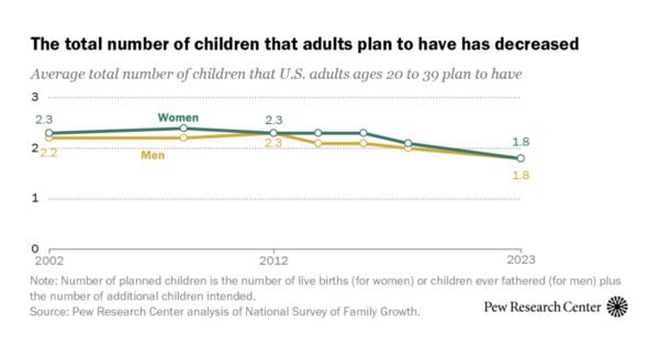 Declining Birth Rates: Young Americans Plan for Fewer Children