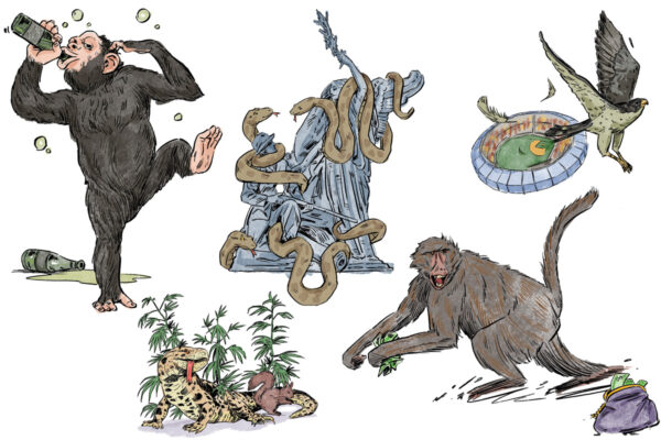 Atlanta’s Wild Pets: A Legacy of Unforgettable Escapades