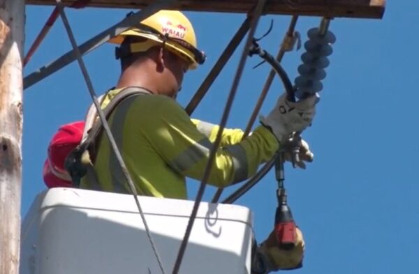 Hawaiian Electric and Wildfire Management Address Common Myths About Wildfires