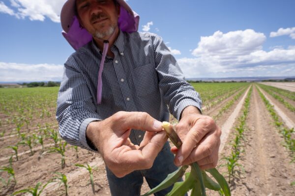 Gunnison River Basin Faces Water Crisis Amid Long-term Drought