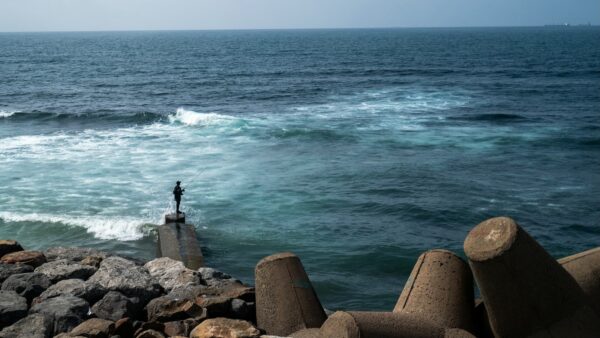 Warming Oceans: A Shift in Color and Its Implications for Marine Life