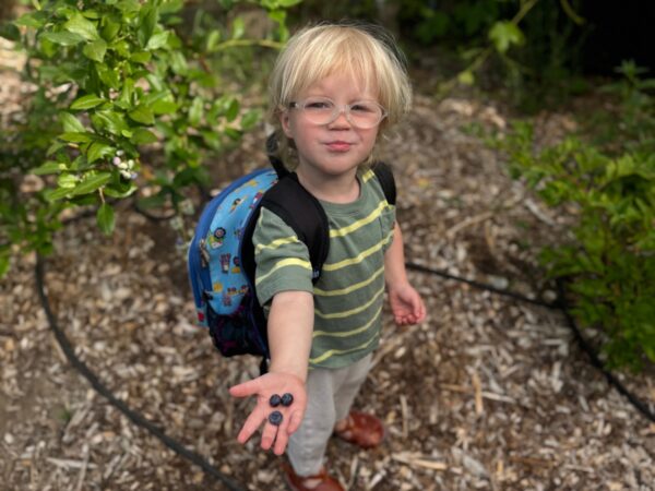 The Unbreakable Bond of Gardening: A Journey from Father to Son