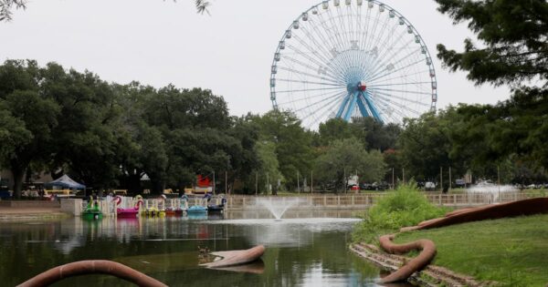 Dallas Park Board President Calls for ‘100% Reset’ of Fair Park Management Amid Financial Concerns