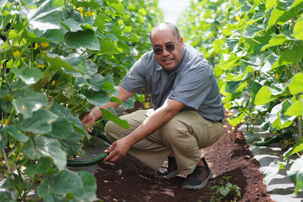 Conflict of Interest Concerns Arise Over Senator Dela Cruz’s Support for Māmaki Tea Bill