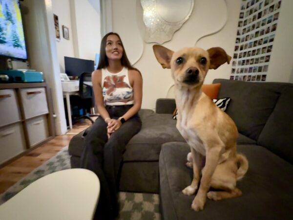 Chili, the Miracle Dog: How a Tiny Chihuahua Mix Survived 10 Days in the Hudson River