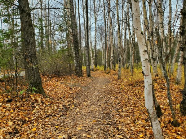 Proposed Federal Land Sale in Senate Bill Could Significantly Impact Alaska