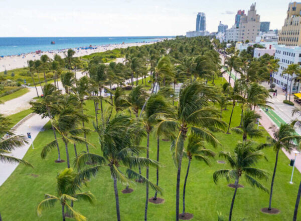 Miami Beach Named Top Honeymoon Destination in the U.S. for 2025