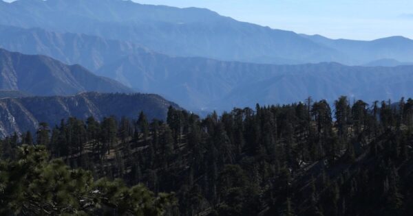 USDA Rescinds Roadless Rule, Sparking Controversy Over Forest Management