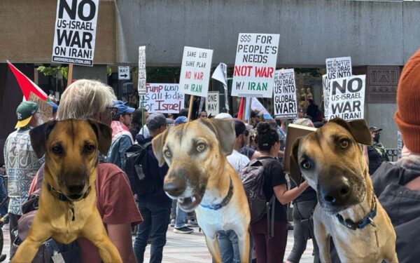 D’Artagnan’s Bark: A Canine Reaction to Anti-American Protests in Seattle