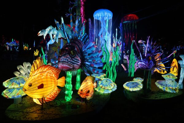 Return of the Chinese Lantern Festival Lights Up Philadelphia