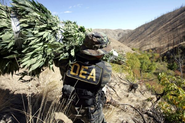 Mexican Drug Cartels Pose Grave Threat to U.S. Security, DEA Agent Warns