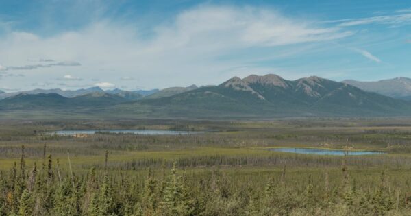 Congress Moves to Sell Millions of Acres of Public Land in Alaska and Beyond