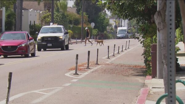 Legal Action Against San Diego Over Bike Lane Safety Following Crash