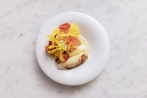 Exciting Food Developments in San Francisco: Maritime Boat Club, Crustacean, and Buoy Bar Set to Open