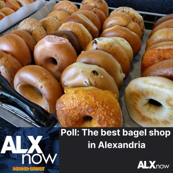 Excitement Builds in Alexandria Amid Active Weekend and Polling for Best Bagel Shop