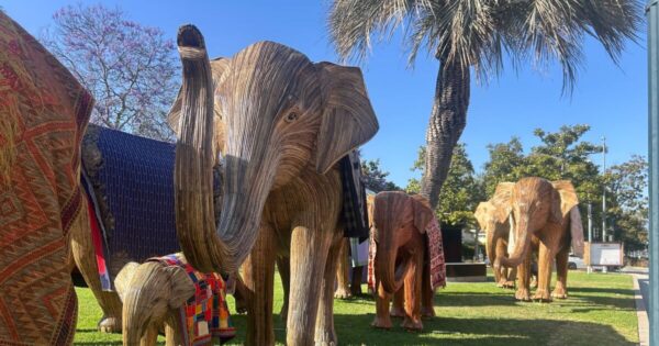 Great Elephant Migration Ends in Beverly Hills, Highlighting Wildlife Coexistence