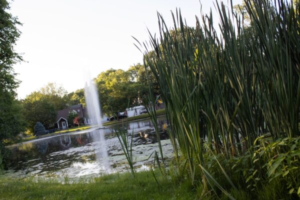 Dredging Project at Allison Pond to Enhance North Shore Storm Resilience