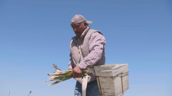 Eastern Washington Farmers Fear Impact of Trump Immigration Policies on Agriculture Industry