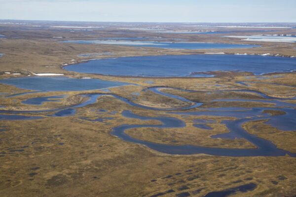 Reversal of Biden-Era Order on Alaskan Oil and Gas Drilling Proposed by Department of the Interior