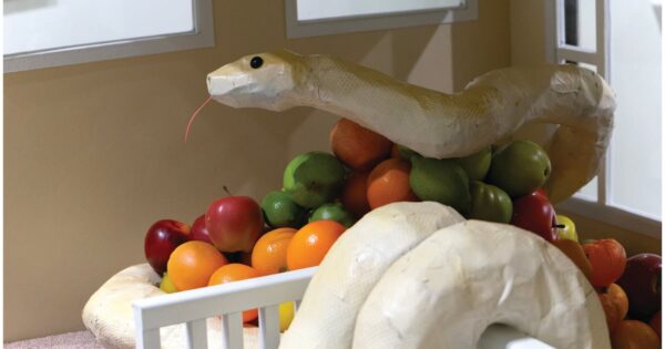 Transforming Perceptions: Maria Lux’s Exhibition Celebrates Snakes and Their Impact on Medicine