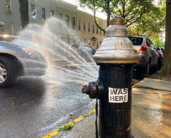New York City Faces Increasing Heat Challenges: A Call for a Chief Heat Officer